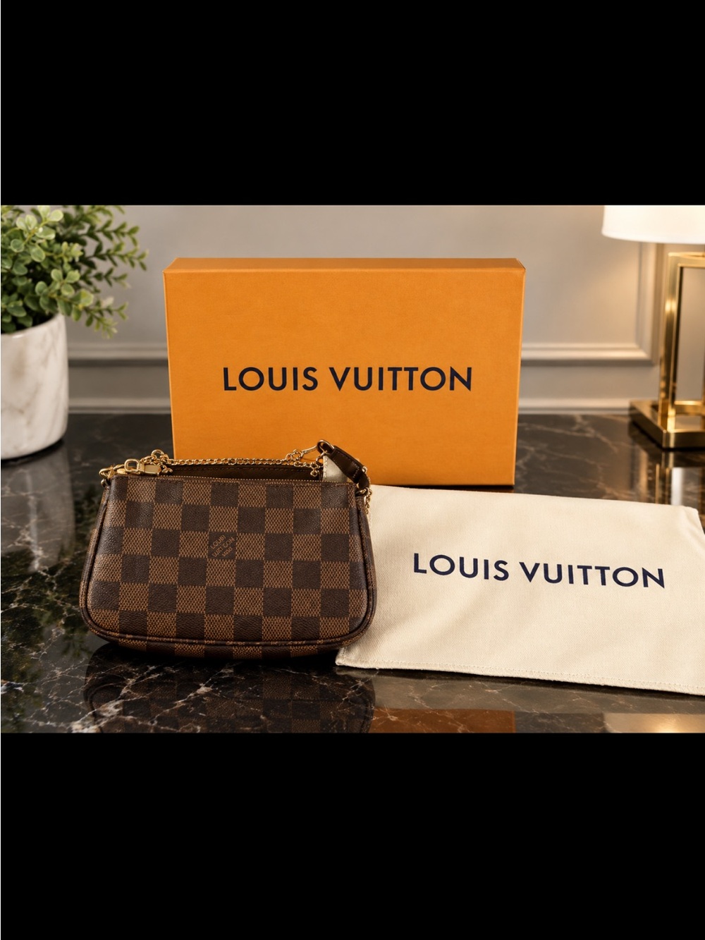 Louis Vuitton Damier Ebene Mini Pochette in Brown with Gold Hardware